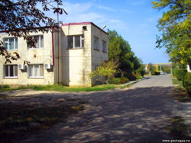 Детская поликлиника воронеж ломоносова 114 телефон